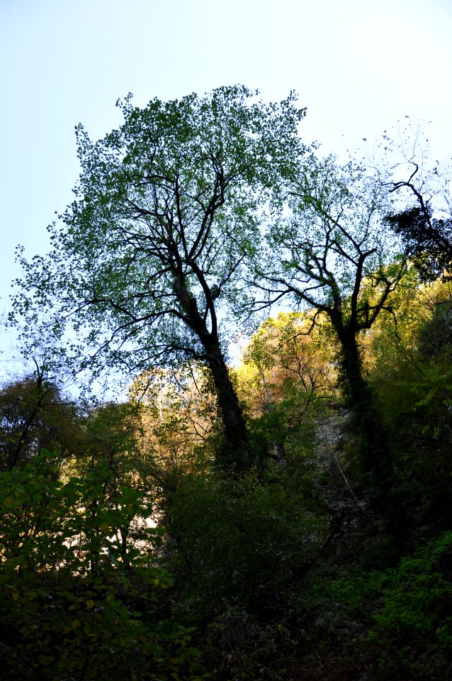 Shirabad Waterfall