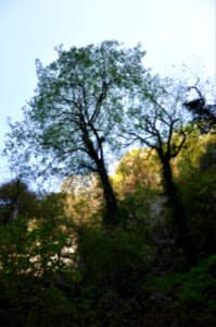 Shirabad Waterfall