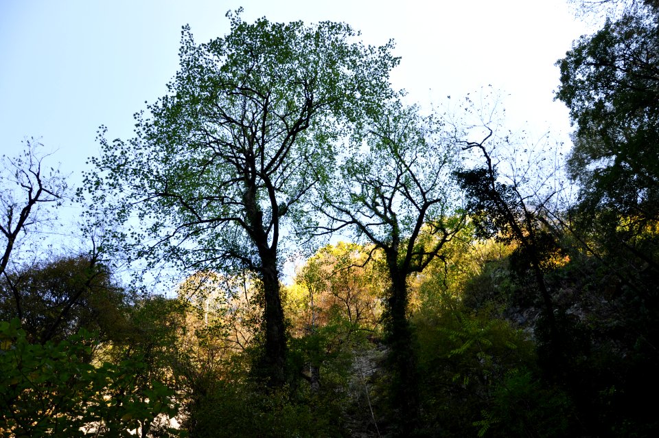 Shirabad Waterfall