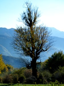 Alimestan village, Mazandaran