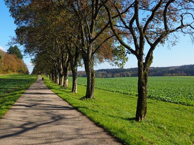 Road promenade sankt johann