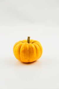 Harvest healthy food