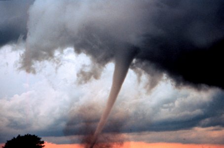 Project Vortex-99: Occluded mesocyclone tornado (NOAA/unidentified fotog)