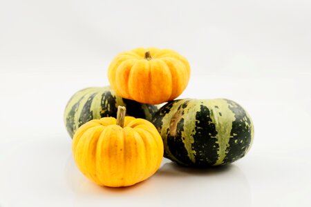 Harvest healthy food