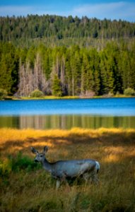 20190915-FS-PJK-10164 TONED