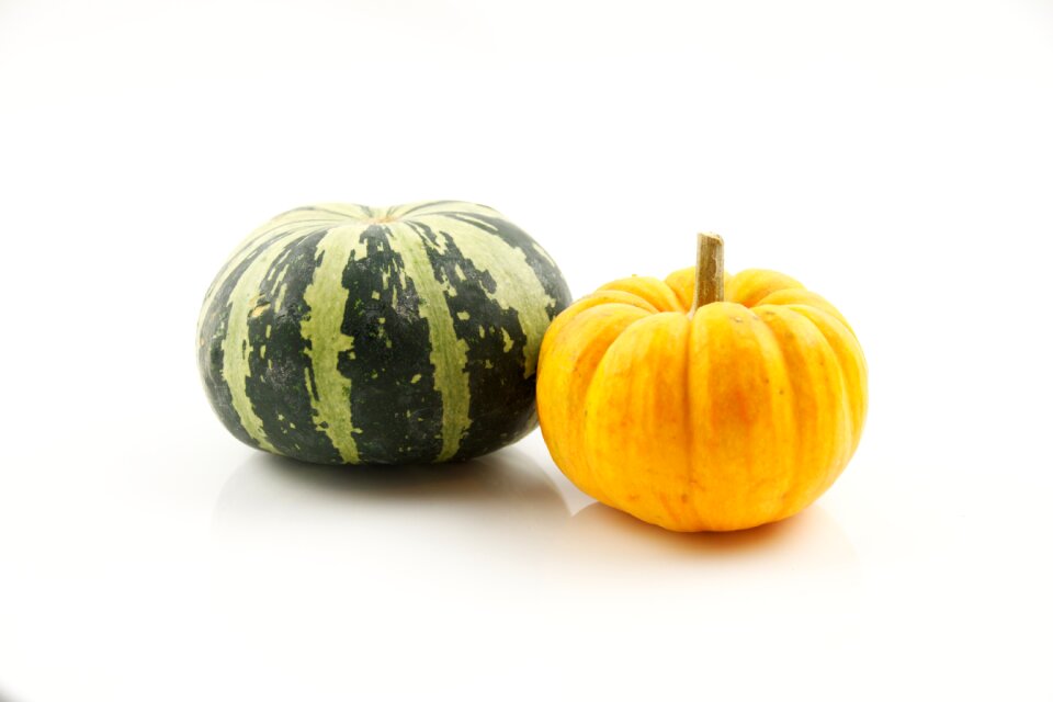 Harvest healthy food