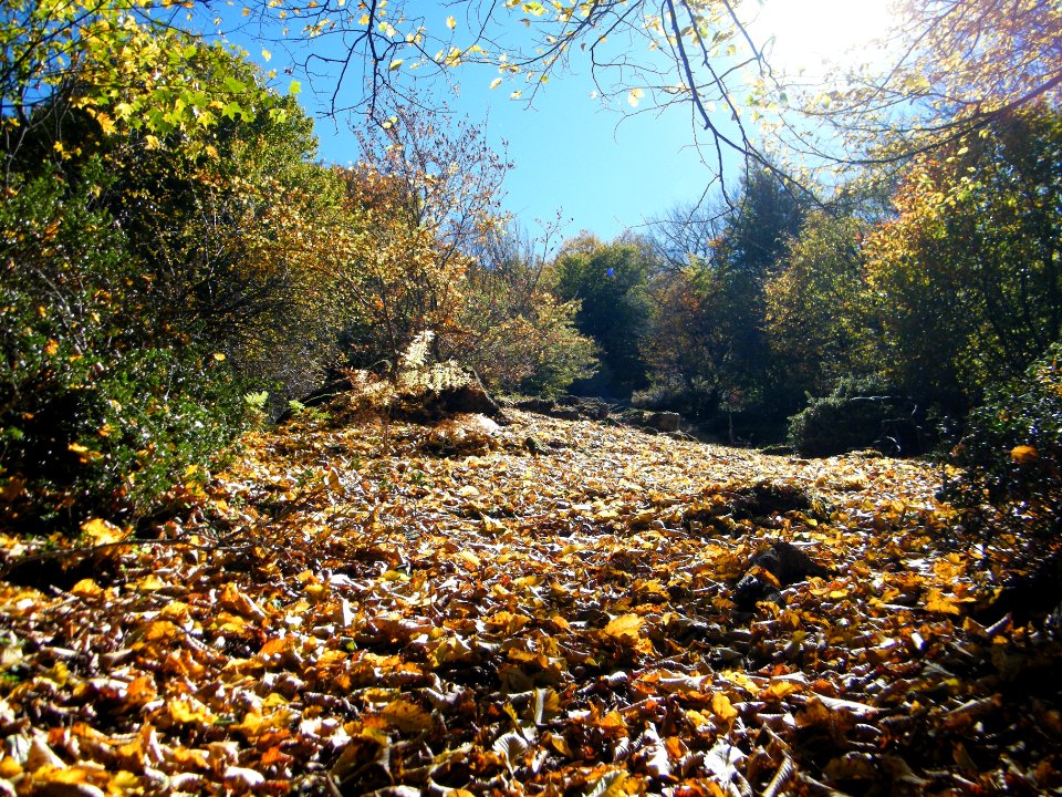 Alimestan village, Mazandaran