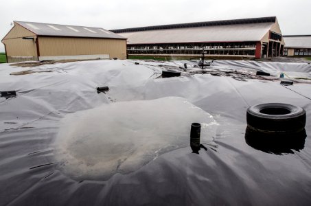 20110419-RD-LSC-0465