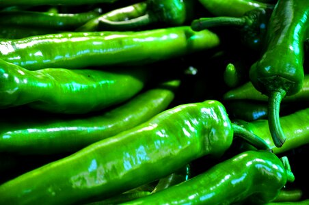 Pepper green pointed pepper
