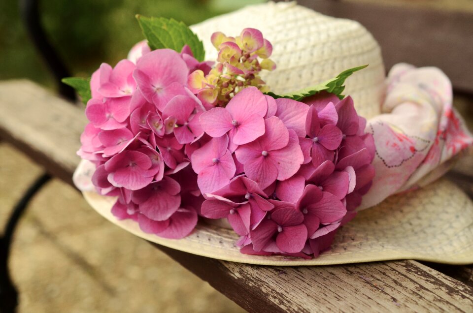 Tender romance blossom