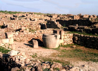 UGARIT
