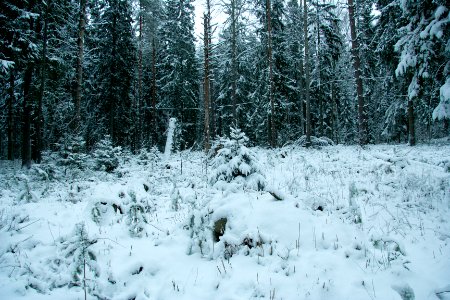 Winter in helsinki-15.jpg photo