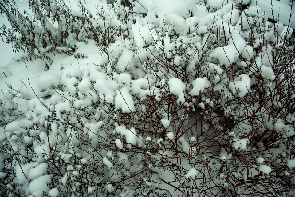 Winter in helsinki-5.jpg