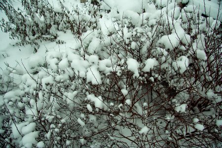 Winter in helsinki-5.jpg photo