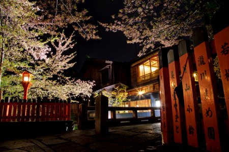 A Night in Gion photo