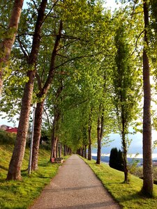 Galicia landscape city