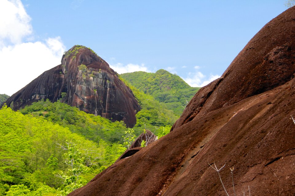 Rocky landscape nature tree