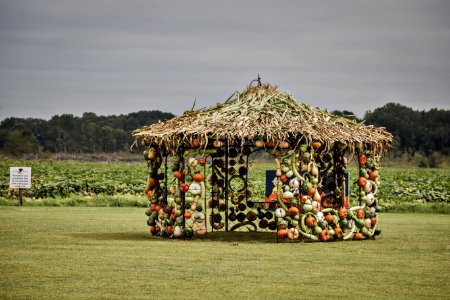 20200925-FPAC-PeeblesFarm-011