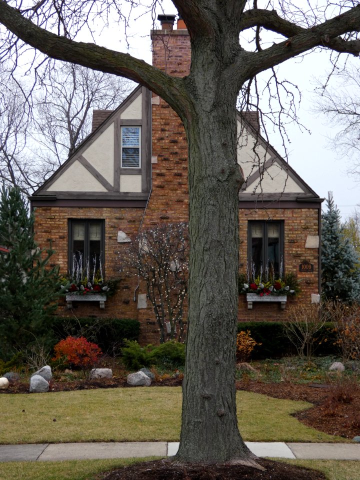 House on an Overcast Morning