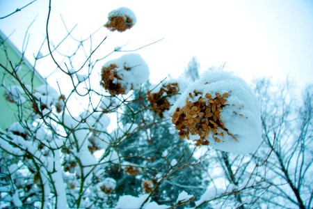 Winter in helsinki.jpg