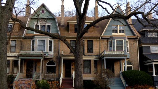 Maple Avenue, Evanston, IL