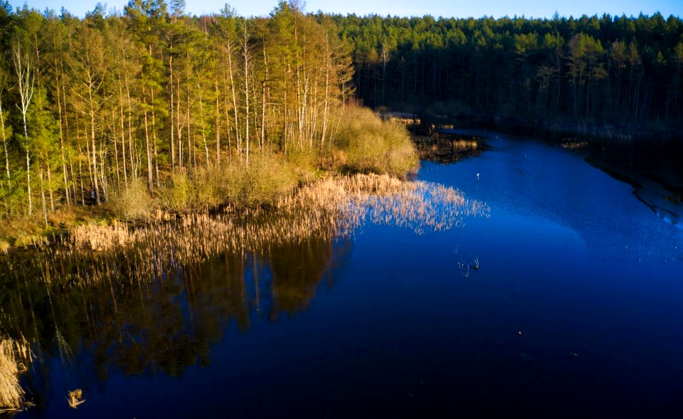 Borowo Jezioro i Las