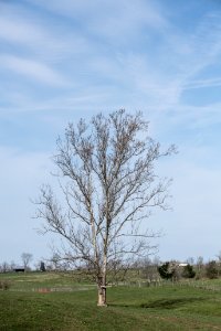 20180406-OSEC-LSC-0413