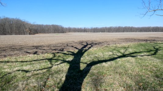 Walnut Valley Realm
