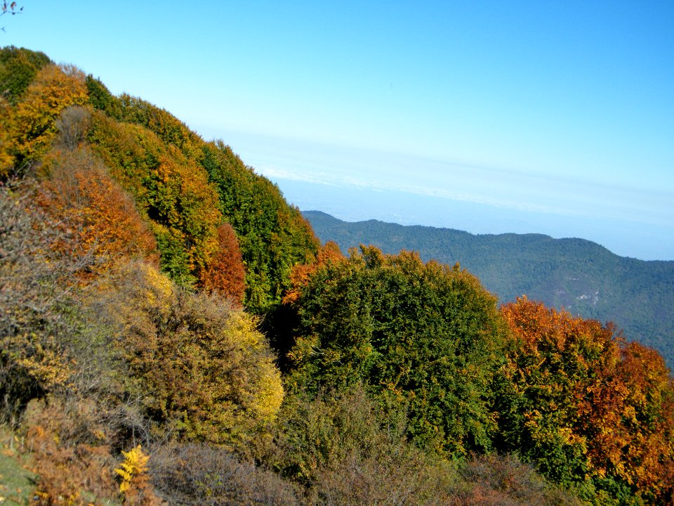 Alimestan village, Mazandaran