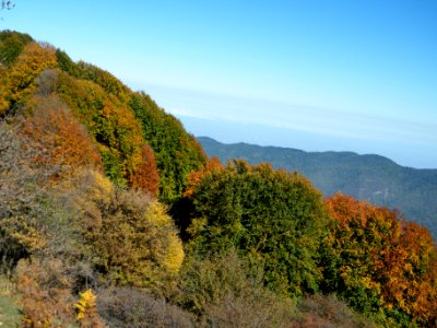 Alimestan village, Mazandaran
