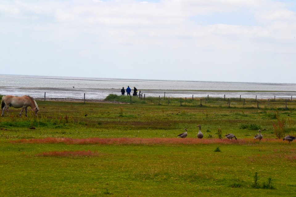 DSC 0471