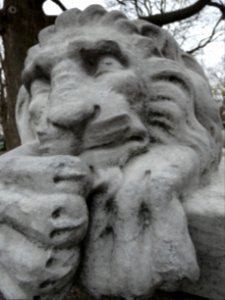 Brookfield Zoo, Chicago Zoological Society