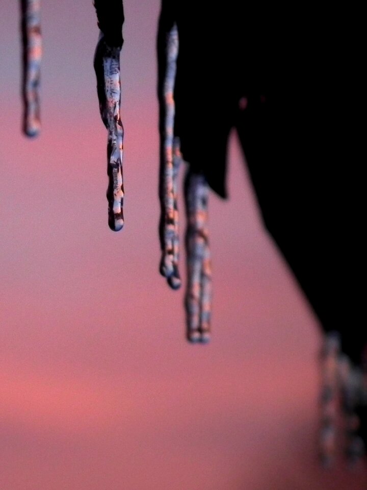 Violet sky frozen
