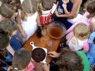 the chocolate cake