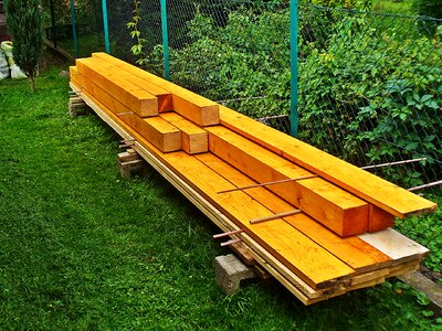 Tree painting wood