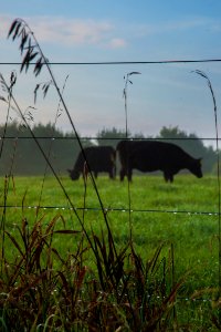 20170830-FSA-PJK-0715 TONED photo