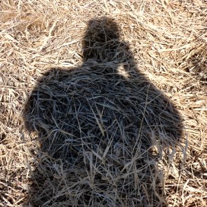 Kent Fuller Air Station Prairie (with Self-Portrait)