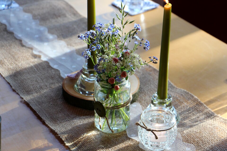 Flowers deco plant