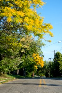 20161005-FNS-LSC-0463