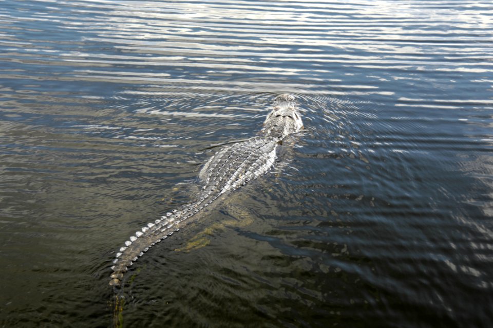 20120105-OC-AMW-0515
