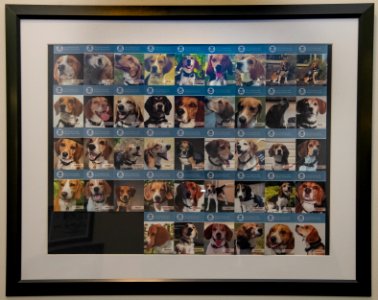 20190405-OSEC-LSC-0160
