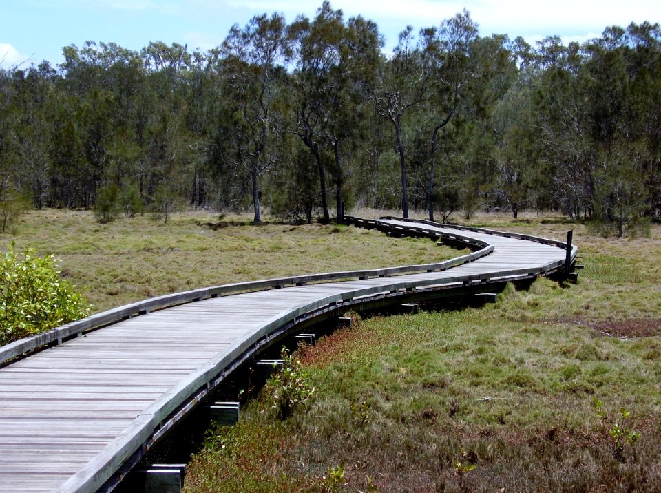 wetlands boardwalk