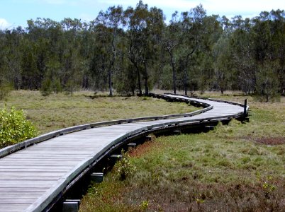 wetlands boardwalk photo