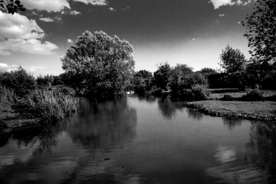 View Arundel WWT 70D (14)