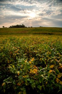 20190920-NRCS-LSC-0185