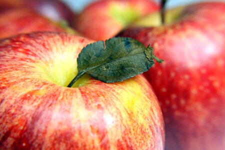 Health food dessert