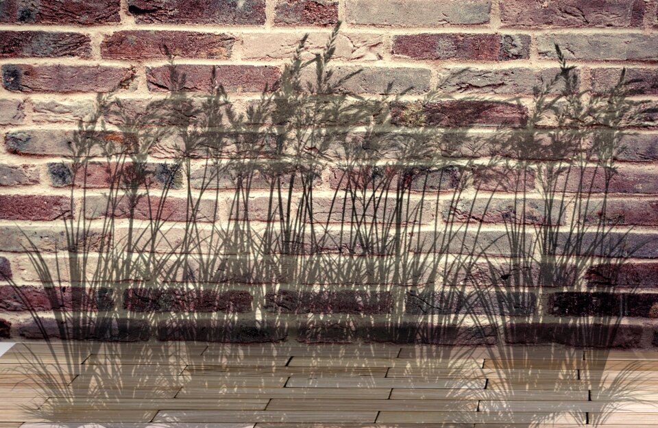 Plant ground background