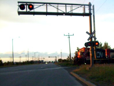 100 6611 cropped