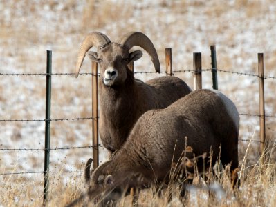 20181207-FS-APACHE-SITGREAVES-LSC-0111
