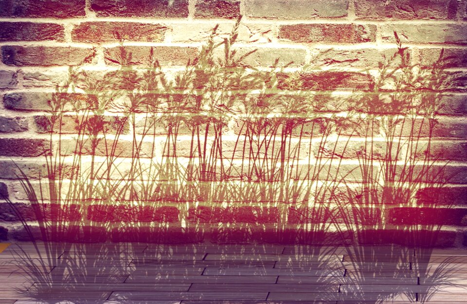 Plant ground background